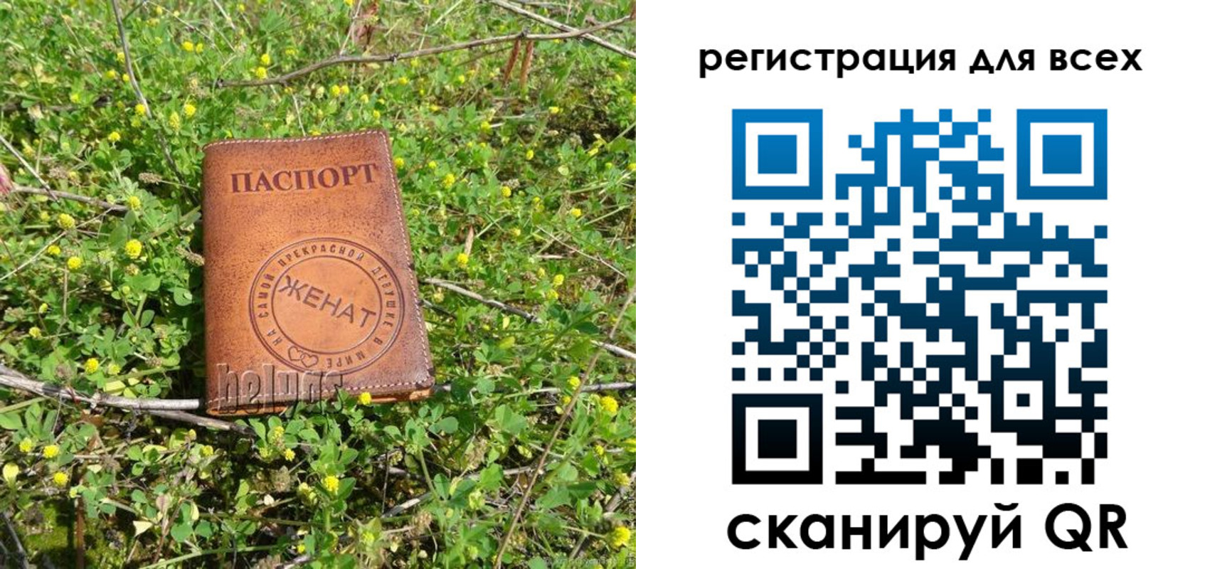 прописка регистрация в Новошахтинске